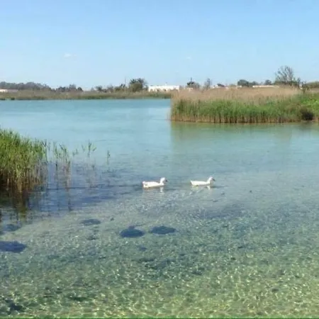 Eleutheria By The Vakantiehuis Torre Chianca